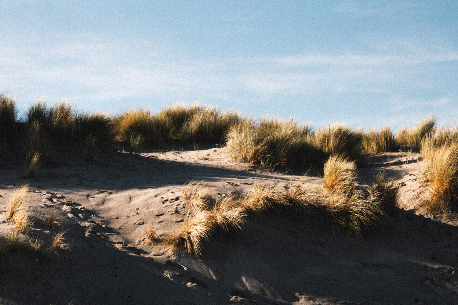 Motorbike photography by Arno Van de Vyver